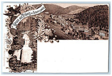 c1905 Greetings from Triberg in Black Forest Baden-Württemberg Germany Postcard picture