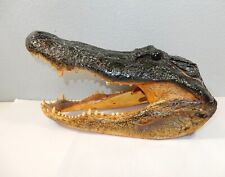 Huge Alligator Head Taxidermy Mount on Wood, 17 in. Long 9 in. Tall, Beautiful picture