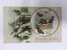 Winsch Christmas Postcard Birds in Basket Silk Fabric Inset c. 1910 picture