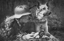 WW2 Photo Picture German Soldier with Dog & Message 233 picture