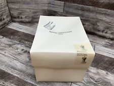 Royal Doulton - Watchful Angels - Divine Friendship **OPEN BOX** picture