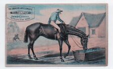 1890s Trade Card Great Atlantic & Pacific Tea Company Jockey on Horse picture