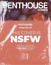Penthouse Comics #1 Cover G Polybag Del Rey Magazine Size Penthouse 2024 NM+ picture