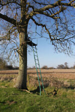 Photo 6x4 Deer culling platform, Little Saxham The ladder leads to a plat c2009 picture