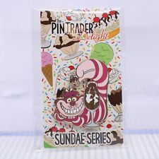B3 Disney DSF DSSH LE Pin Trader Delight PTD Cheshire Cat Alice in Wonderland picture
