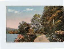 Postcard Nature/Landscape Road/Pathway Scene picture