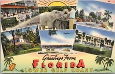 Vintage 1940s FLORIDA Postcard 