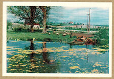 1960 TUKUMS (Latvian SSR) Pond in Durbes Park Soviet postcard picture