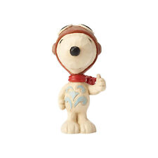 Snoopy Flying Ace picture