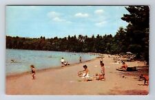 Paw Paw MI-Michigan, Scenic Greetings, Relaxing at Beach, Vintage Postcard picture