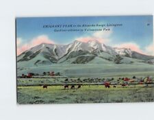 Postcard Emigrant Peak Absaroka Range Livingston Montana USA picture