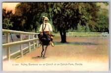 Vintafe Postcard c. 1908 Riding Bareback On Ostrich at an Ostrich Farm Florida picture