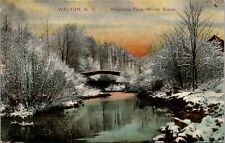 Postcard~Walton New York~Howlands Falls~Winter Scene~Bridge~PCK~c1910~Unposted picture