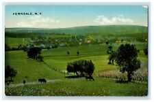 c1910 Aerial View Of Ferndale New York NY Posted Antique Postcard picture