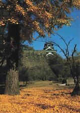 Kumamoto Japanese Postcard - Kumamoto Castle Vtg  #72 picture