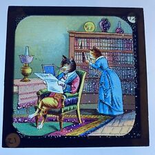 Antique Magic Lantern Slide 12 Theobald Educated Cats Her Father & Mother -FAULT picture