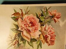 WONDERFUL 1908 GERMAN MADE FLOWER ROSES POSTCARD picture