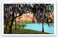 Vintage Old Postcard Florida Live Oak Spanish Moss St Petersburg 1936 Cancel picture
