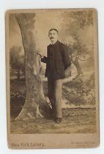 Antique Circa 1880s Cabinet Card Handsome Man Mustache By Fake Tree Reading, PA picture