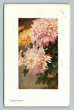 tuck flower studies chrysanthemums art postcard picture