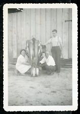 Vintage Photo WOMAN MILKS COW 