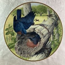 EASTERN BLUEBIRD NESTING ON EGGS Plate  A. J. Rudisill National  Audubon Society picture