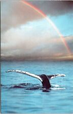 Cape Ann Massachusetts Whale Watching Capital Gloucester Rainbow UNP Postcard picture
