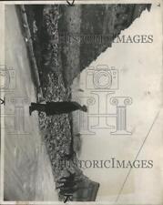 LARGE 1947 Press Photo Sacramento Blvd. Wall Of Bridewell Prison Caves In picture