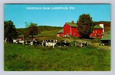 Janesville WI-Wisconsin, Scenic Greetings, Cows Grazing, Vintage Postcard picture