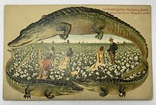 ALLIGATOR BORDER Langsdorff S657 Where Cotton Blossoms Grow Sunny South BJ picture