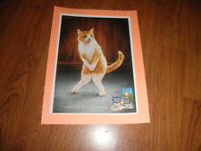 TABBY CAT FRESH STEP AD-VERY FUNNY -2008 picture