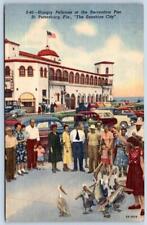 1950 ST PETERSBURG PIER HUNGRY PELICANS FLORIDA VINTAGE LINEN POSTCARD OLD CARS picture