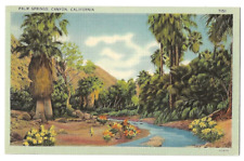 Palm Springs California c1940's Palm Canyon oasis, stream, Washington Palm Trees picture