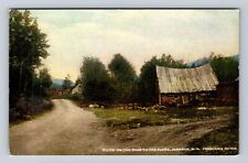 Johnson NH-New Hampshire, On Road To The Flume, Franconia Notch Vintage Postcard picture