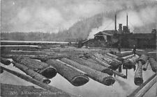 Washington Saw Mill Logging Lumber C-1910 #1436 Postcard 22-1190 picture
