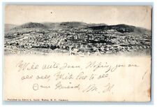 1906 Bird's Eye View Of Walton New York NY Posted Antique Postcard picture