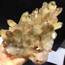 874g Natural Rare Beautiful brown quartz Crystal Cluster Mineral Specimen picture