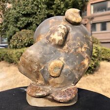 5.54LB TOP Natural Beautiful ammonite fossil conch Crystal specimen healing 233 picture