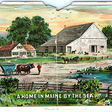 c1880s Kennebunk, ME Mitchell's Drug Plasters Trade Card Quack Beacon Lith 5R picture