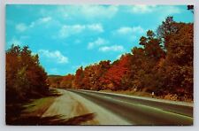 Fall Majesty Autumn Leaves Country Road Vintage Postcard John V. Pontiere Unused picture