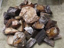 18 Lbs. of Petrified Wood Pieces With Great Color & Patterns From S. Utah #PET1 picture