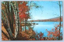 Fairville Lake NJ New Jersey Postcard October At Stillwater Sussex County picture