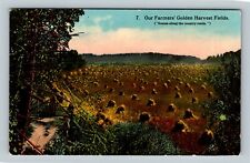 Our Farmers Golden Harvest Fields, Hay, Vintage Postcard picture
