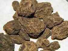 C&M High john conqueror root organic harvested carry for luck 4 oz- SHIP FROM US picture