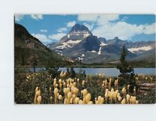 Postcard Spring Scene Mt. Wilbur Glacier National Park Montana USA picture