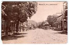 1913 WILLIAMSON NEW YORK NY MAIN STREET TROLLEY CAR TRACKS DIRT ROAD POSTCARD picture