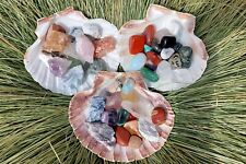 Scallop Shell Crystal Surprise, Crystal Filled Scallop Shell, Fill A Shell Set. picture