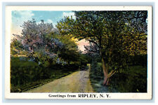 1923 Road View Greetings from Ripley New York NY Posted Vintage Postcard picture