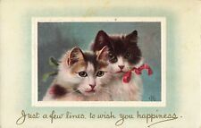 Cute Cats Kittens Greetings Artist Signed 1909 Postcard picture