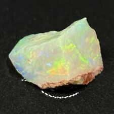 Rough Uncut Rare Australian Lambina Opal With Nice Full Multifired Pattern picture